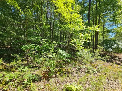 136 Doves Way Lake Lure NC 28746