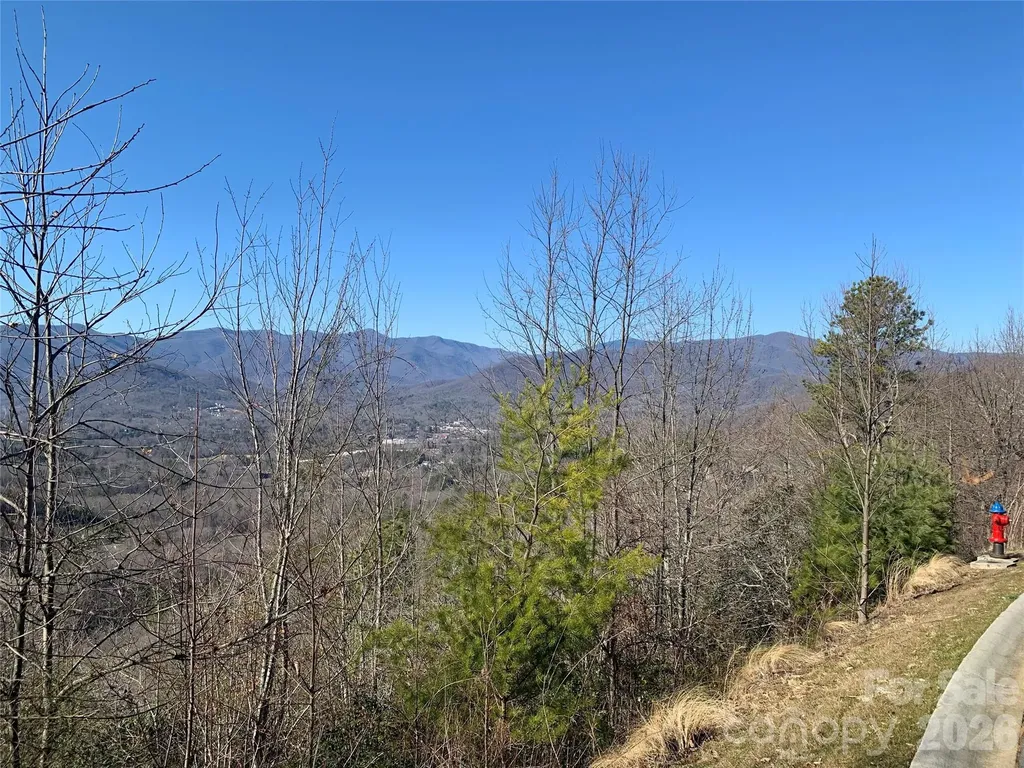 124 Settings Boulevard Black Mountain NC 28711