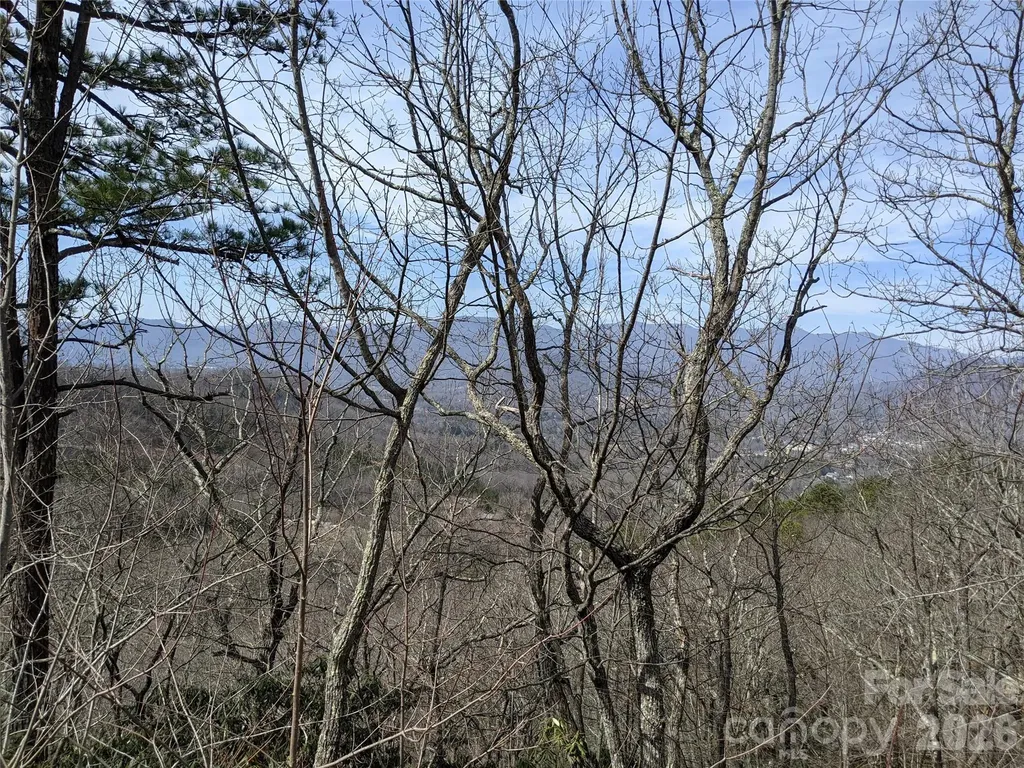 124 Settings Boulevard Black Mountain NC 28711