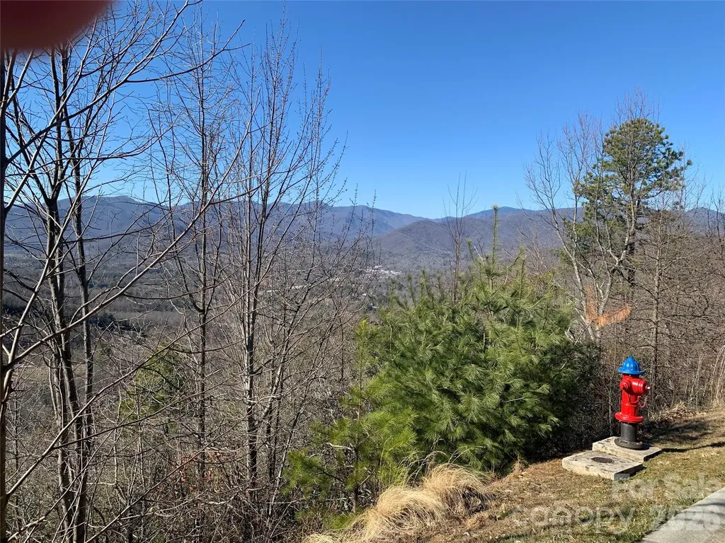 124 Settings Boulevard Black Mountain NC 28711