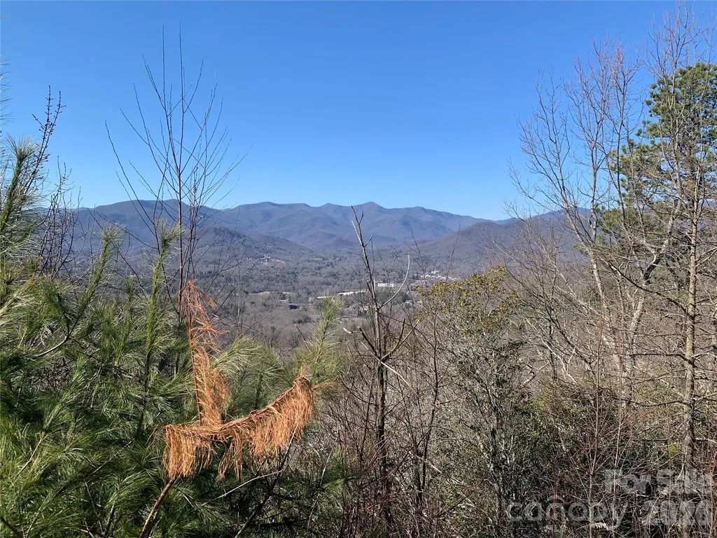 124 Settings Boulevard Black Mountain NC 28711