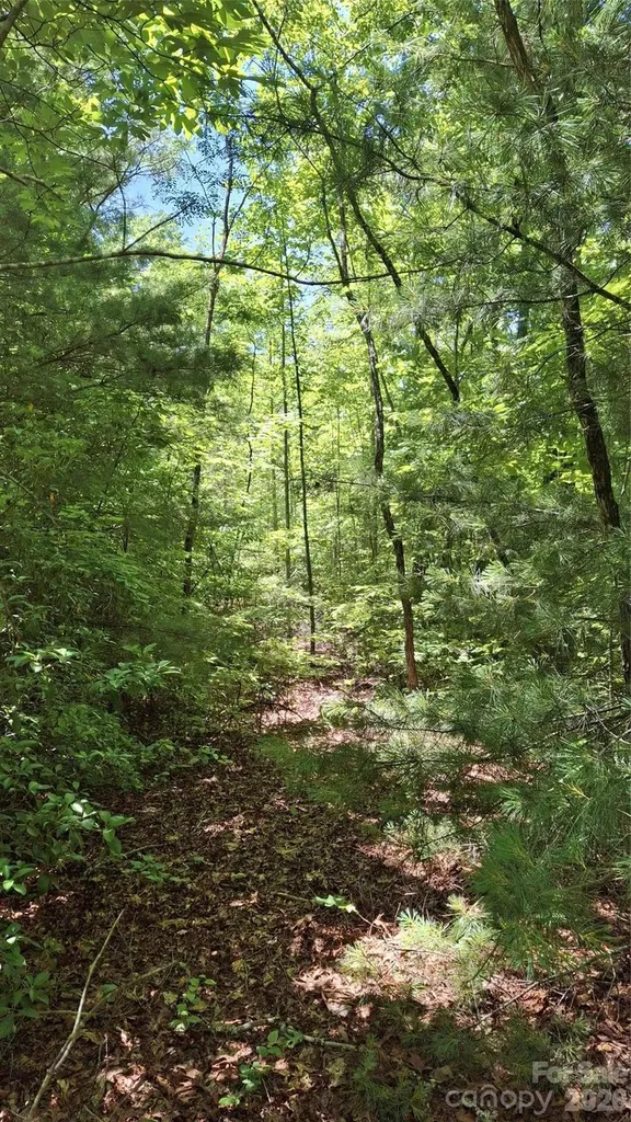 272 Kako Ridge Sylva NC 28779
