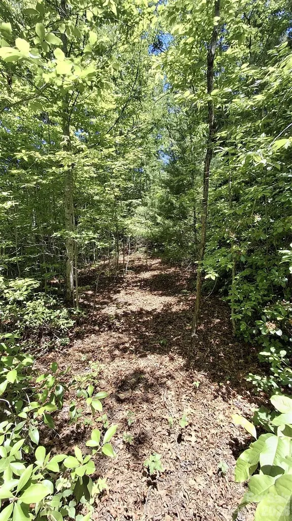 272 Kako Ridge Sylva NC 28779
