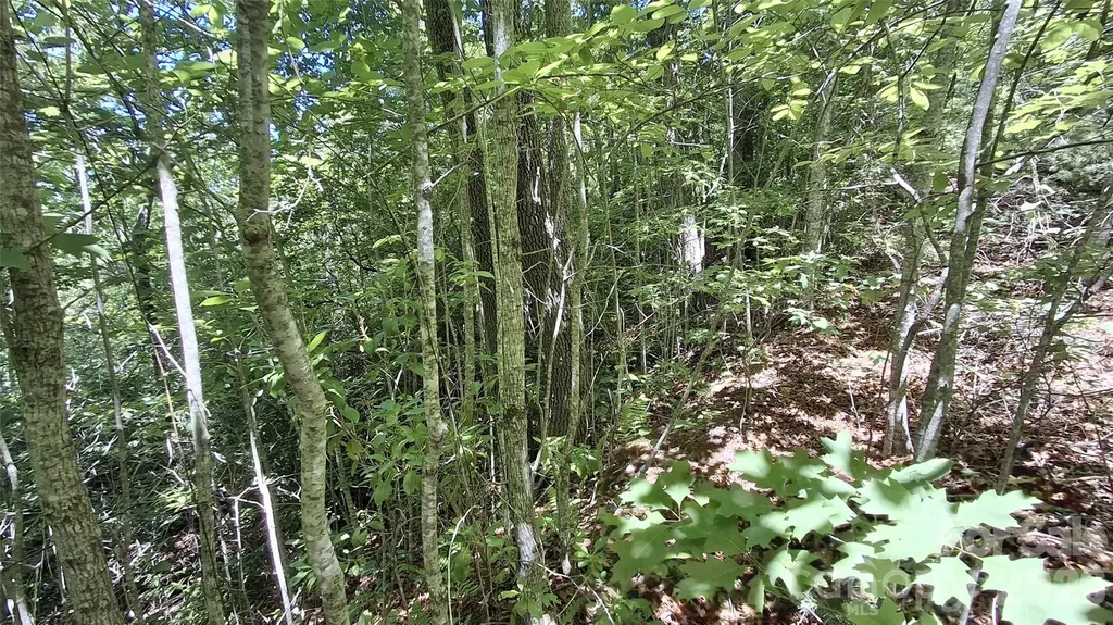 272 Kako Ridge Sylva NC 28779