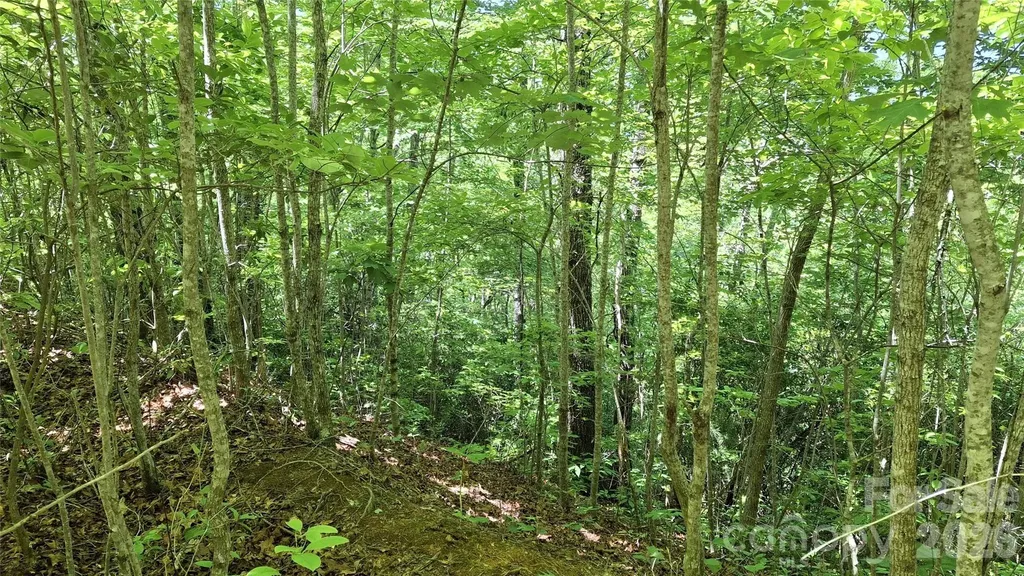 272 Kako Ridge Sylva NC 28779
