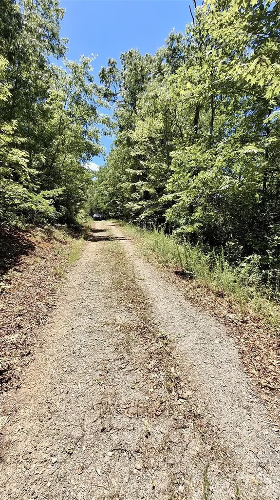272 Kako Ridge Sylva NC 28779