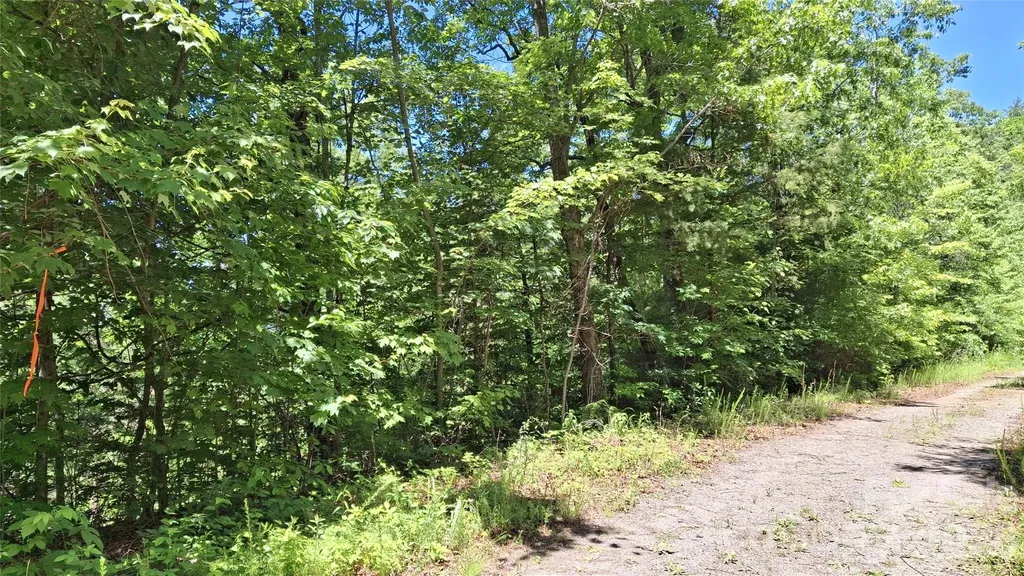 272 Kako Ridge Sylva NC 28779