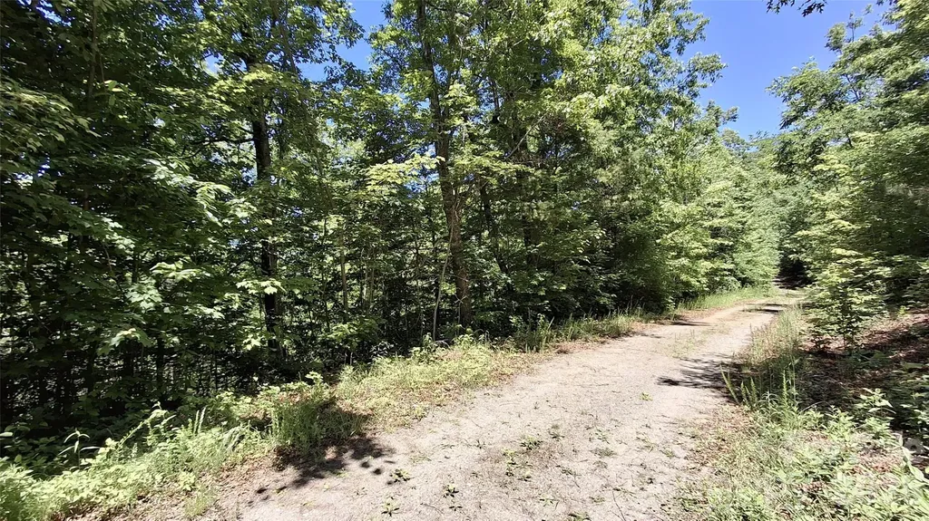 272 Kako Ridge Sylva NC 28779