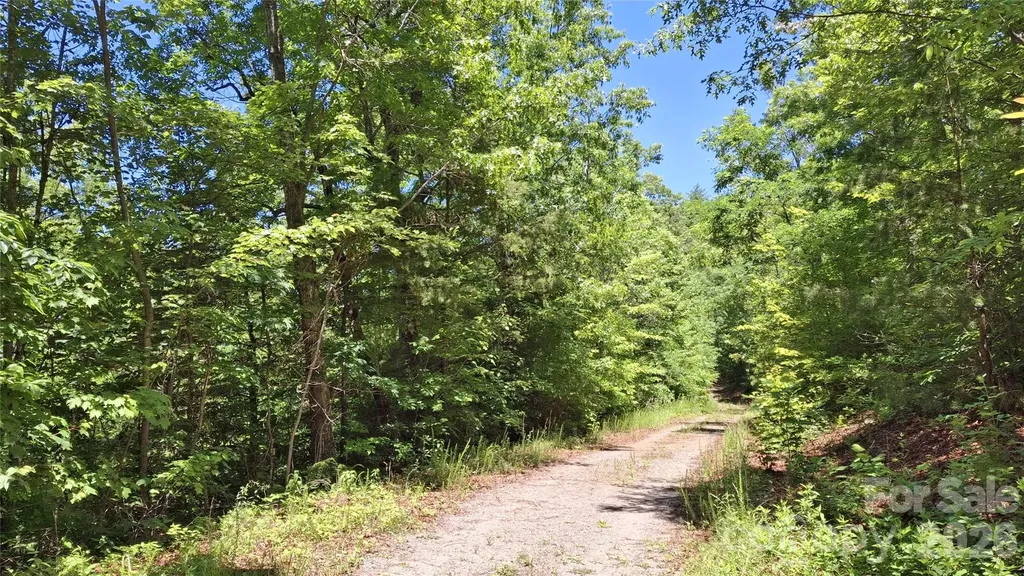 272 Kako Ridge Sylva NC 28779