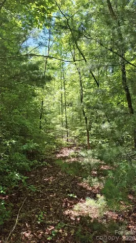 272 Kako Ridge Sylva NC 28779