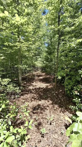 272 Kako Ridge Sylva NC 28779