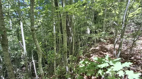 272 Kako Ridge Sylva NC 28779