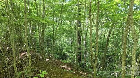 272 Kako Ridge Sylva NC 28779