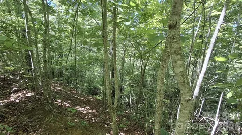 272 Kako Ridge Sylva NC 28779