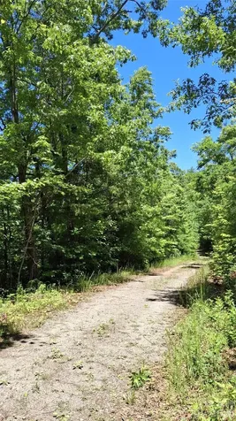 272 Kako Ridge Sylva NC 28779