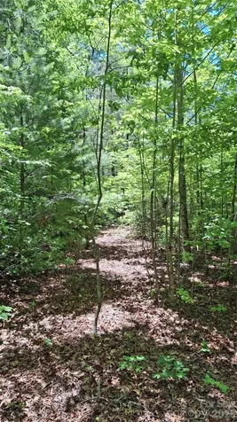 272 Kako Ridge Sylva NC 28779