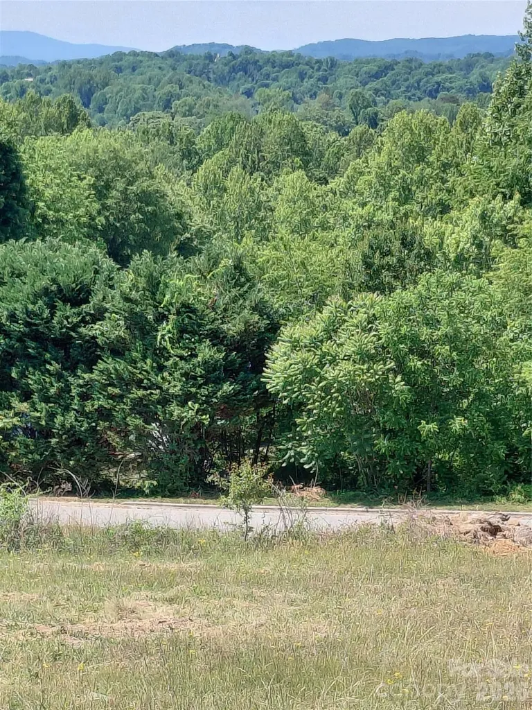 410 & 412 Whitmore Street SE Lenoir NC 28645