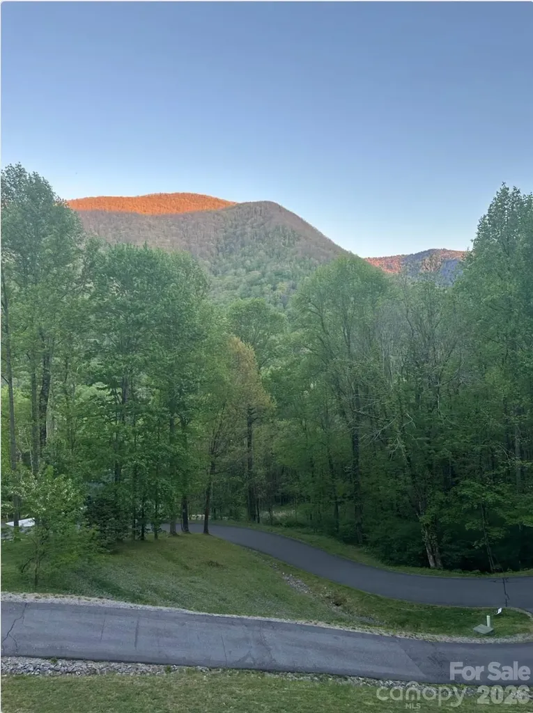 302 Davy Crockett Drive Maggie Valley NC 28751