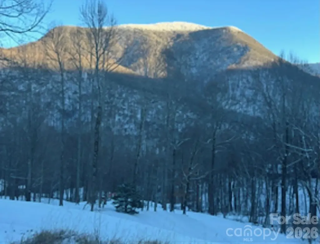 302 Davy Crockett Drive Maggie Valley NC 28751