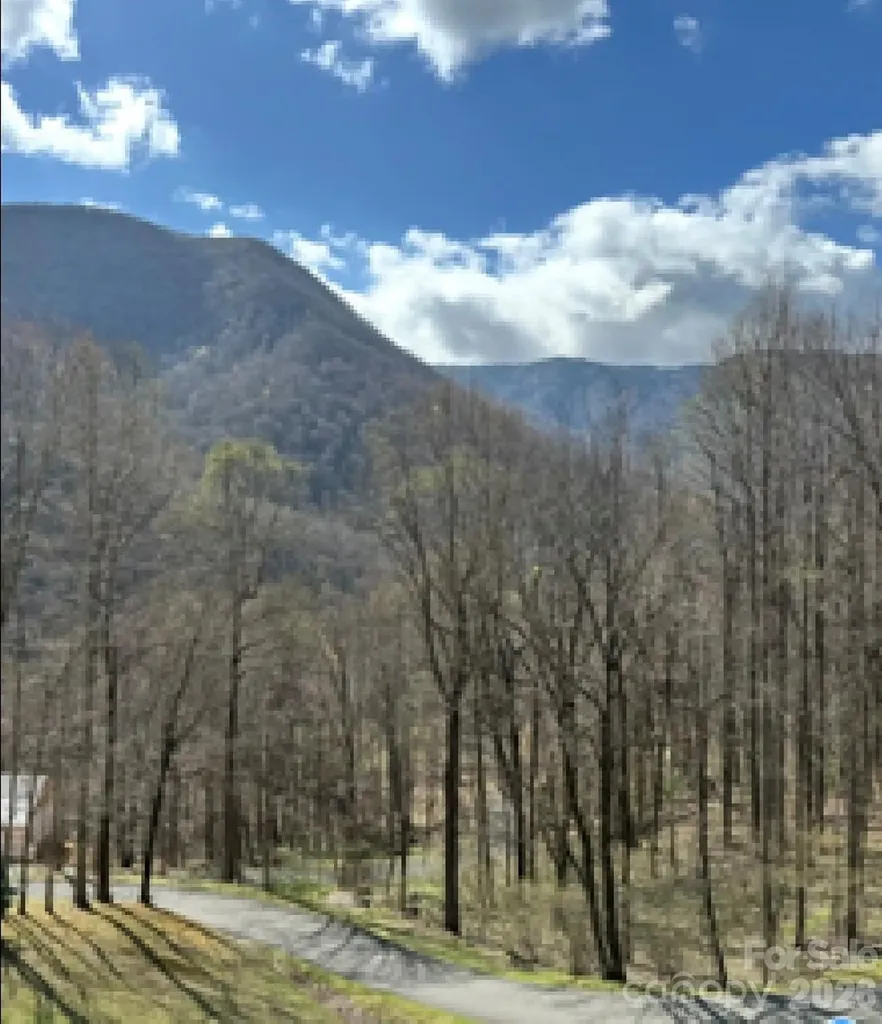 302 Davy Crockett Drive Maggie Valley NC 28751