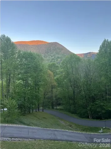 302 Davy Crockett Drive Maggie Valley NC 28751
