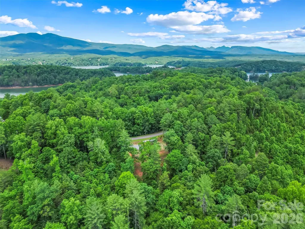 678 Forest Lake Heights Drive Nebo NC 28761