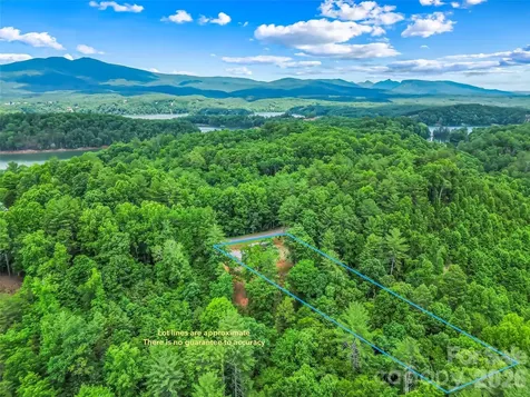 678 Forest Lake Heights Drive Nebo NC 28761