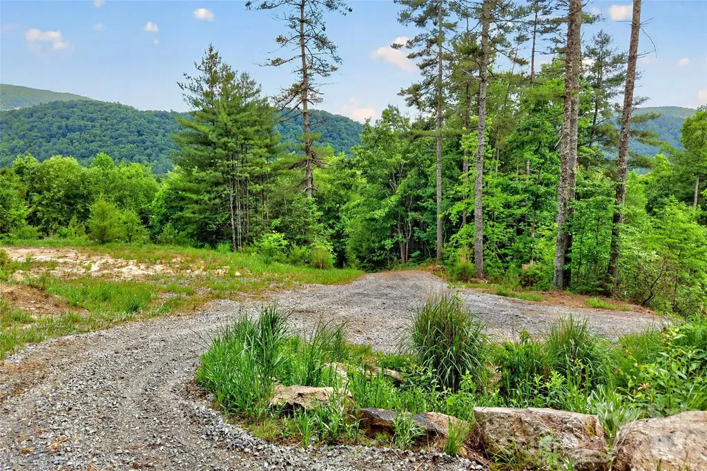 263 E Lester Lane Hendersonville NC 28739