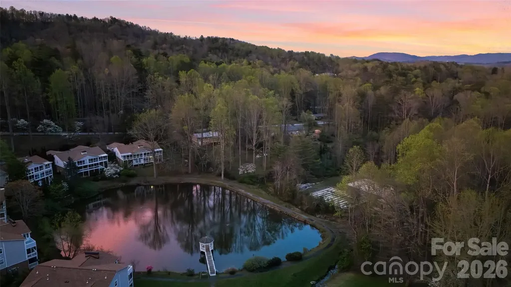 20 Mallard Court Brevard NC 28712