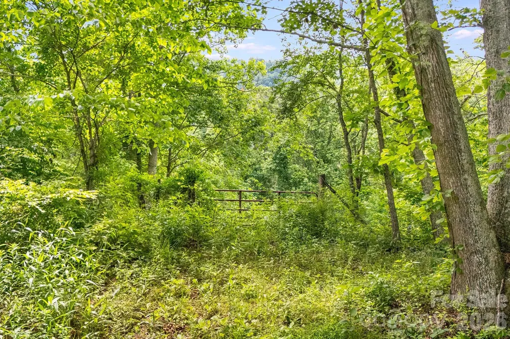 224 Allen Drive Marshall NC 28753