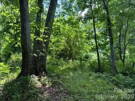 224 Allen Drive Marshall NC 28753
