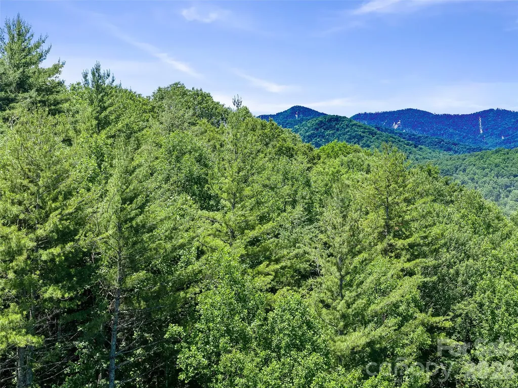 0 Moody Mountain Road Burnsville NC 28714