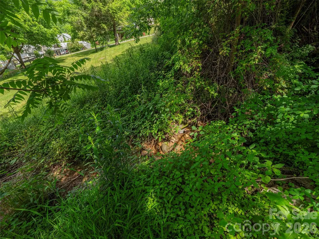 5622 Dutch Cove Road Canton NC 28716