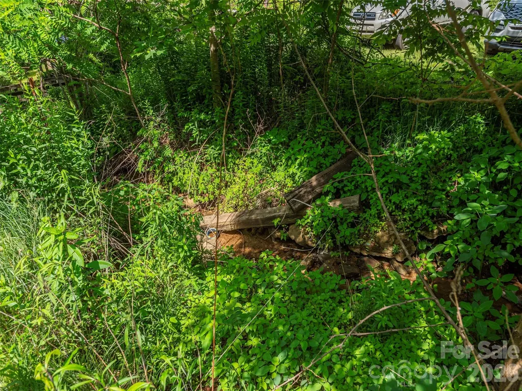 5622 Dutch Cove Road Canton NC 28716