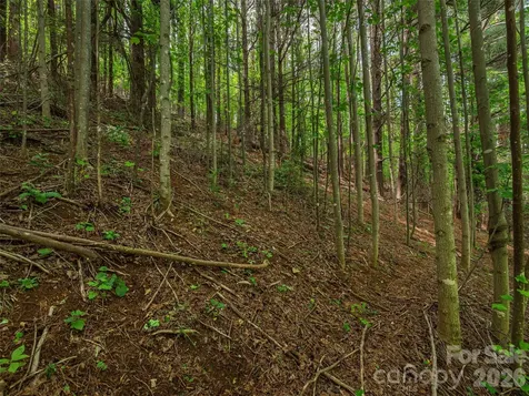 5622 Dutch Cove Road Canton NC 28716