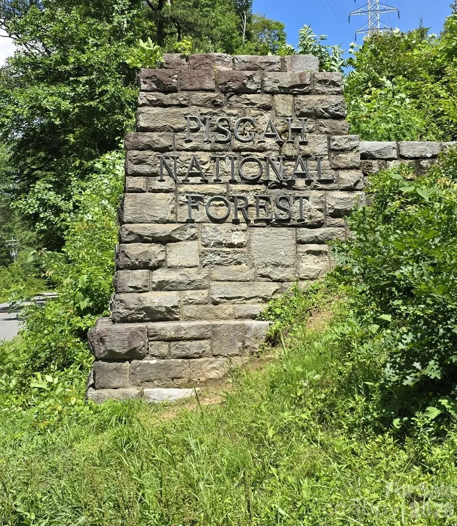 403 Doliver Drive Horse Shoe NC 28742