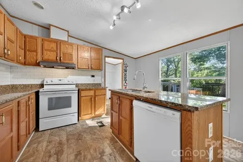 403 Doliver Drive Horse Shoe NC 28742