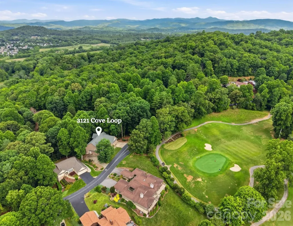 3121 Cove Loop Road Hendersonville NC 28739