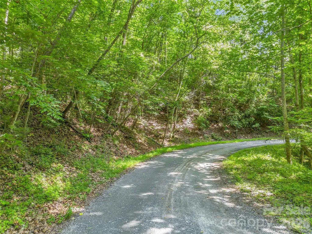 00 Chipmonk Trail Lake Lure NC 28746