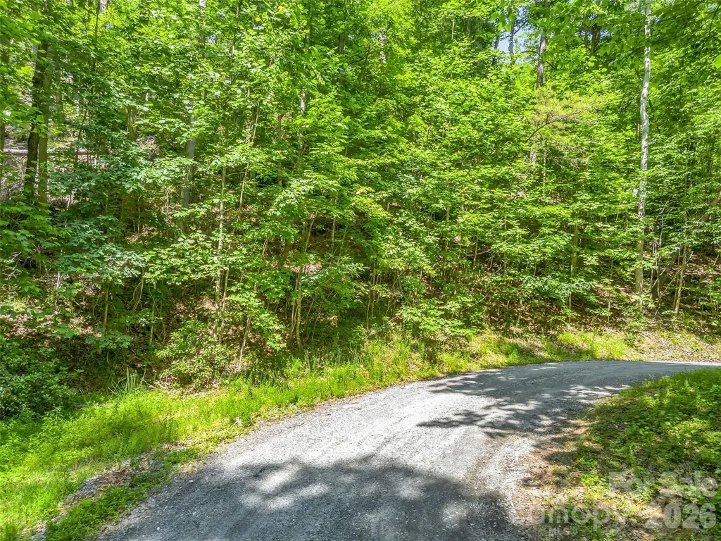 00 Chipmonk Trail Lake Lure NC 28746