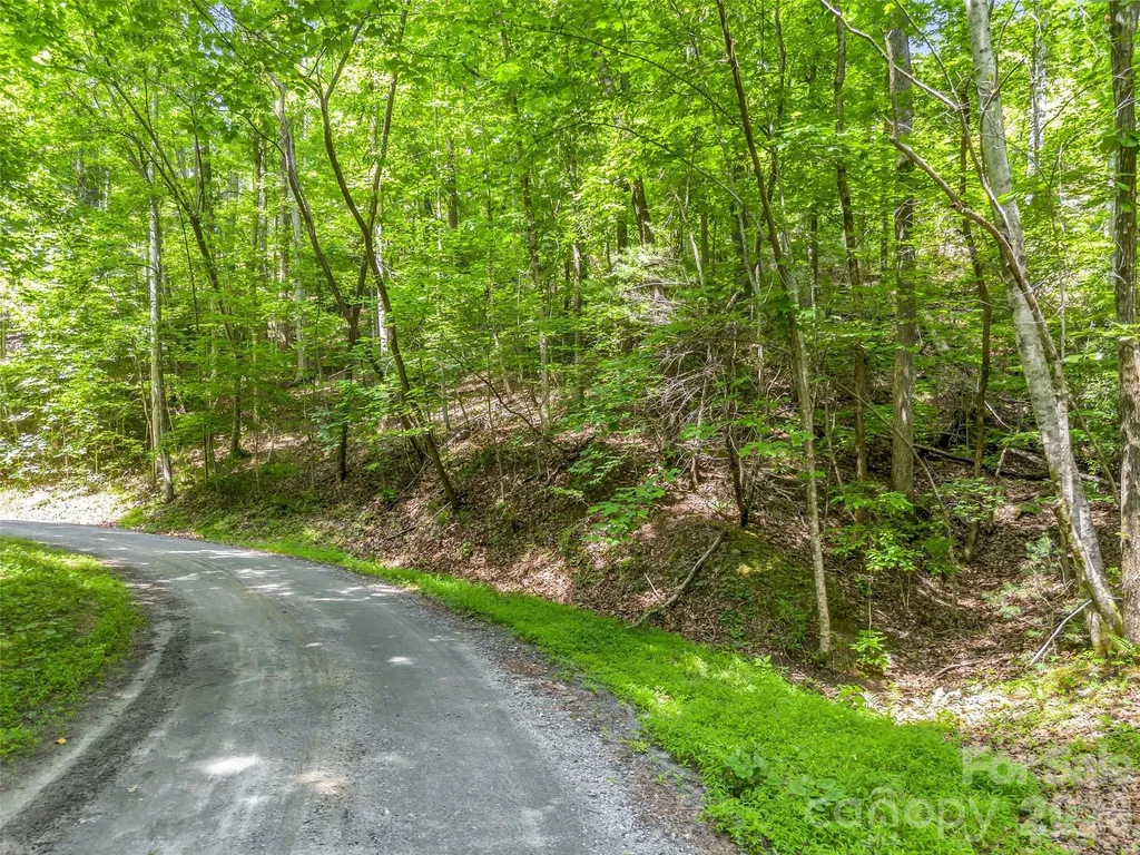 00 Chipmonk Trail Lake Lure NC 28746