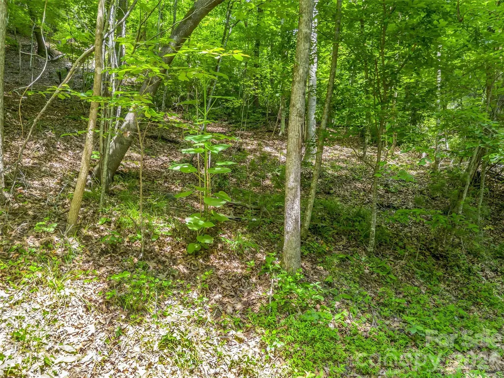 00 Chipmonk Trail Lake Lure NC 28746