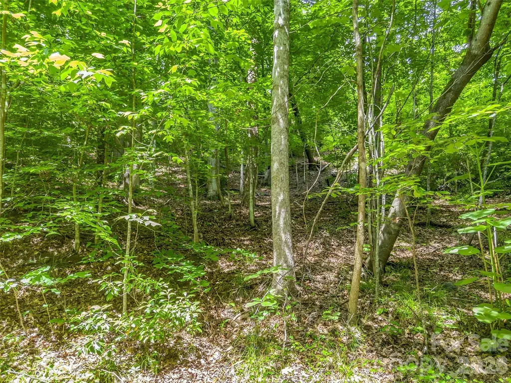 00 Chipmonk Trail Lake Lure NC 28746