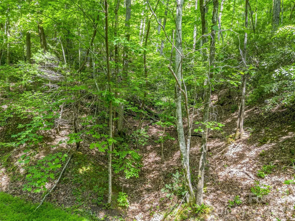00 Chipmonk Trail Lake Lure NC 28746