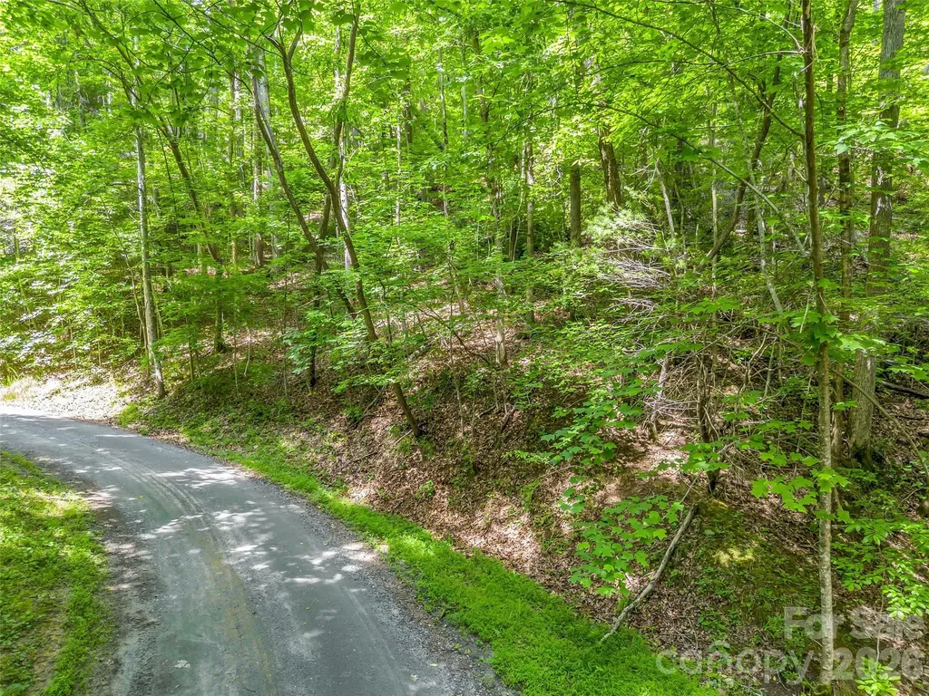00 Chipmonk Trail Lake Lure NC 28746