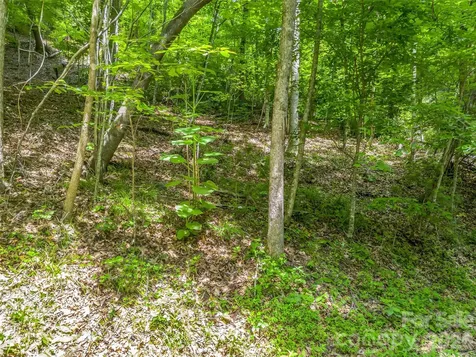 00 Chipmonk Trail Lake Lure NC 28746