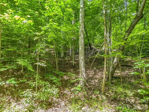 00 Chipmonk Trail Lake Lure NC 28746