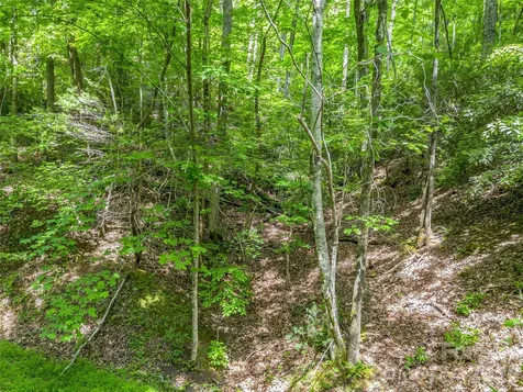 00 Chipmonk Trail Lake Lure NC 28746