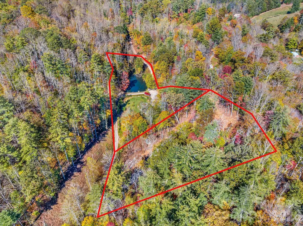 226 Fish Pond Lane Burnsville NC 28714