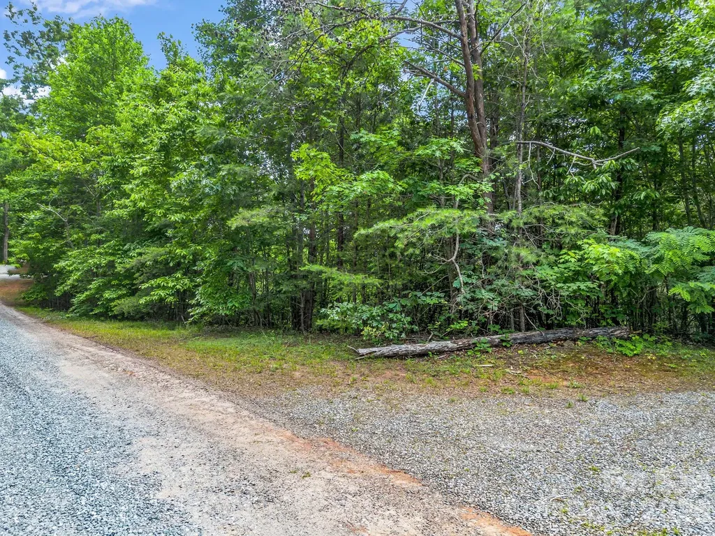0 Sandpiper Avenue Lake Lure NC 28746